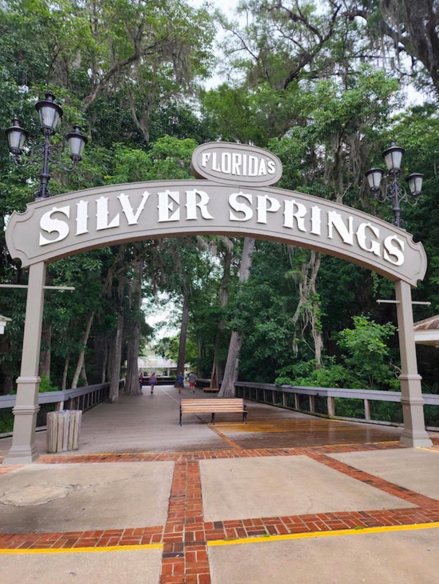 Private Home In Ocala With Fenced Yard, Piano, Central Location, Pets Welcome Eksteriør bilde